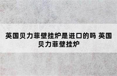 英国贝力菲壁挂炉是进口的吗 英国贝力菲壁挂炉